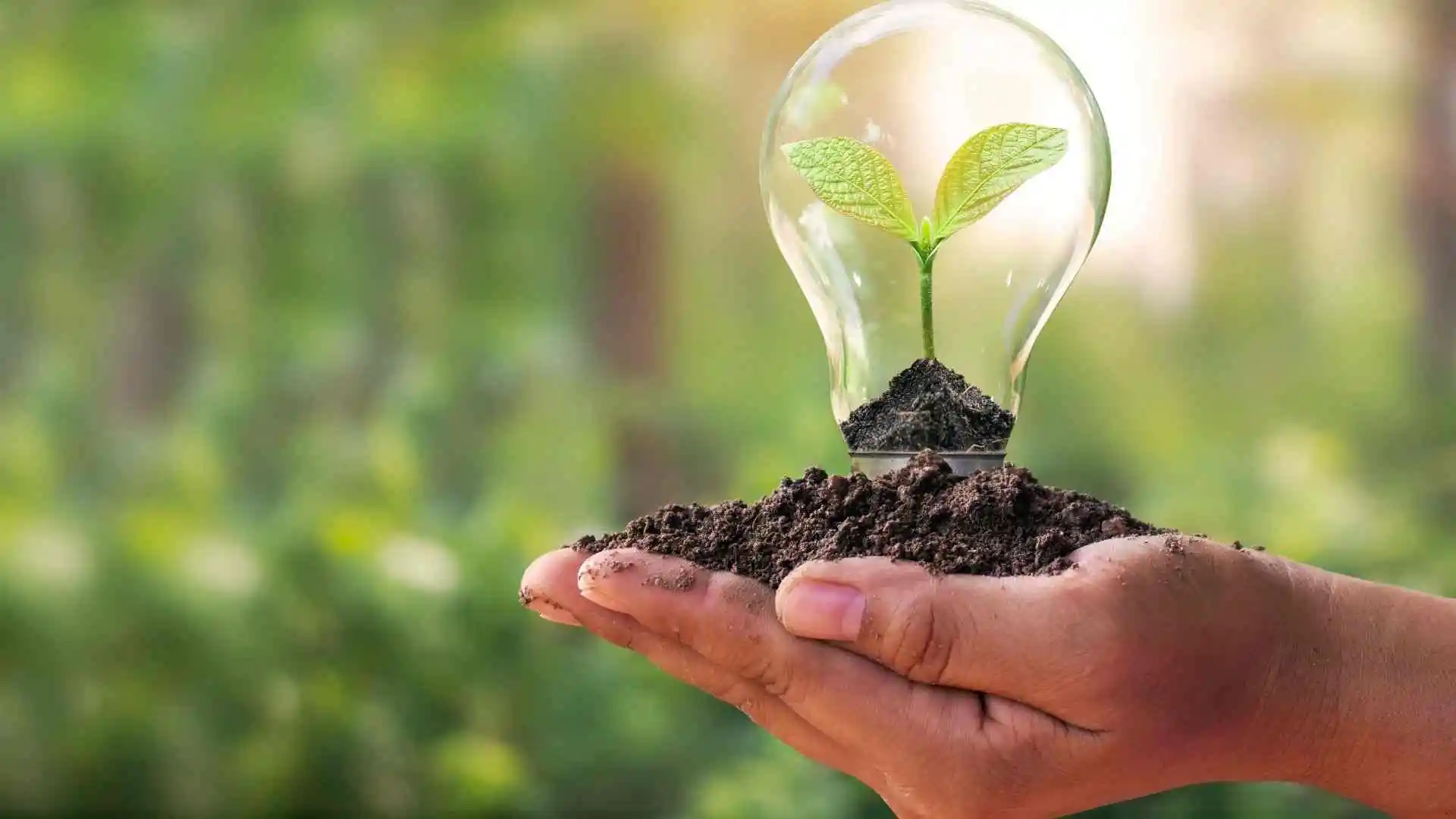 Environmental Impact of Solar Energy