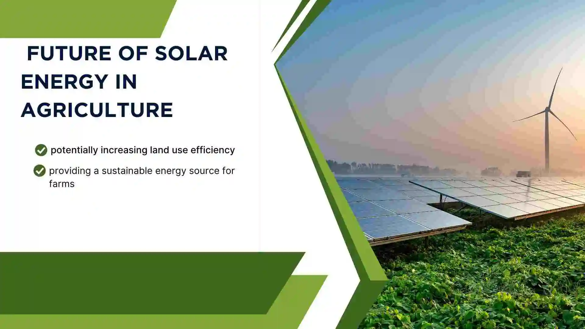 Future of Solar Energy in Agriculture