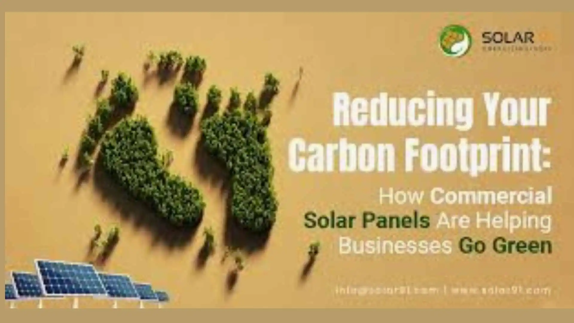 Reducing Your Carbon Footprint with Solar Power