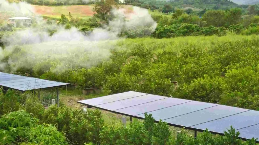 Solar Energy in Agriculture